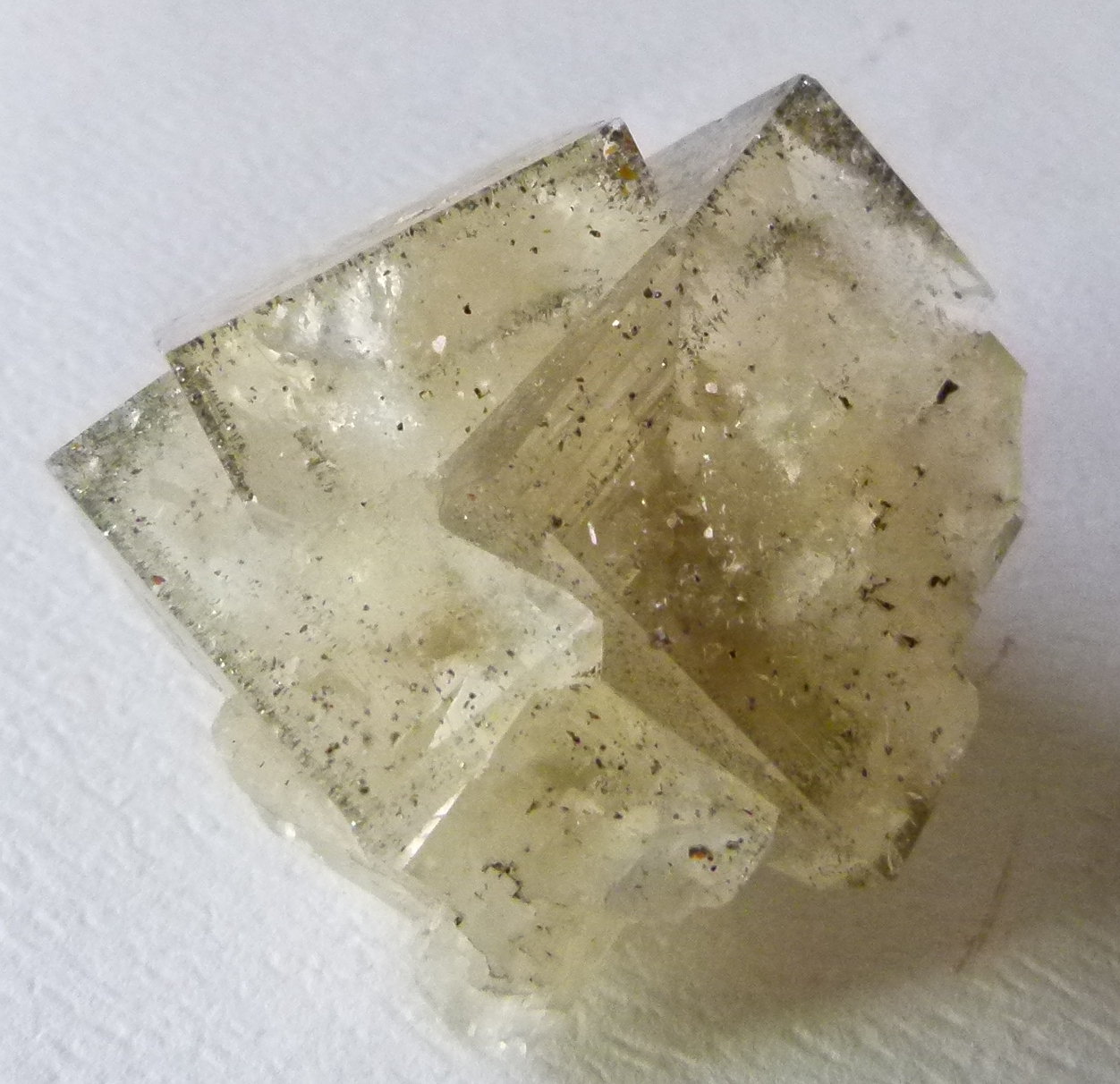 Fluorite
5cm
(Autor: colin robinson)
