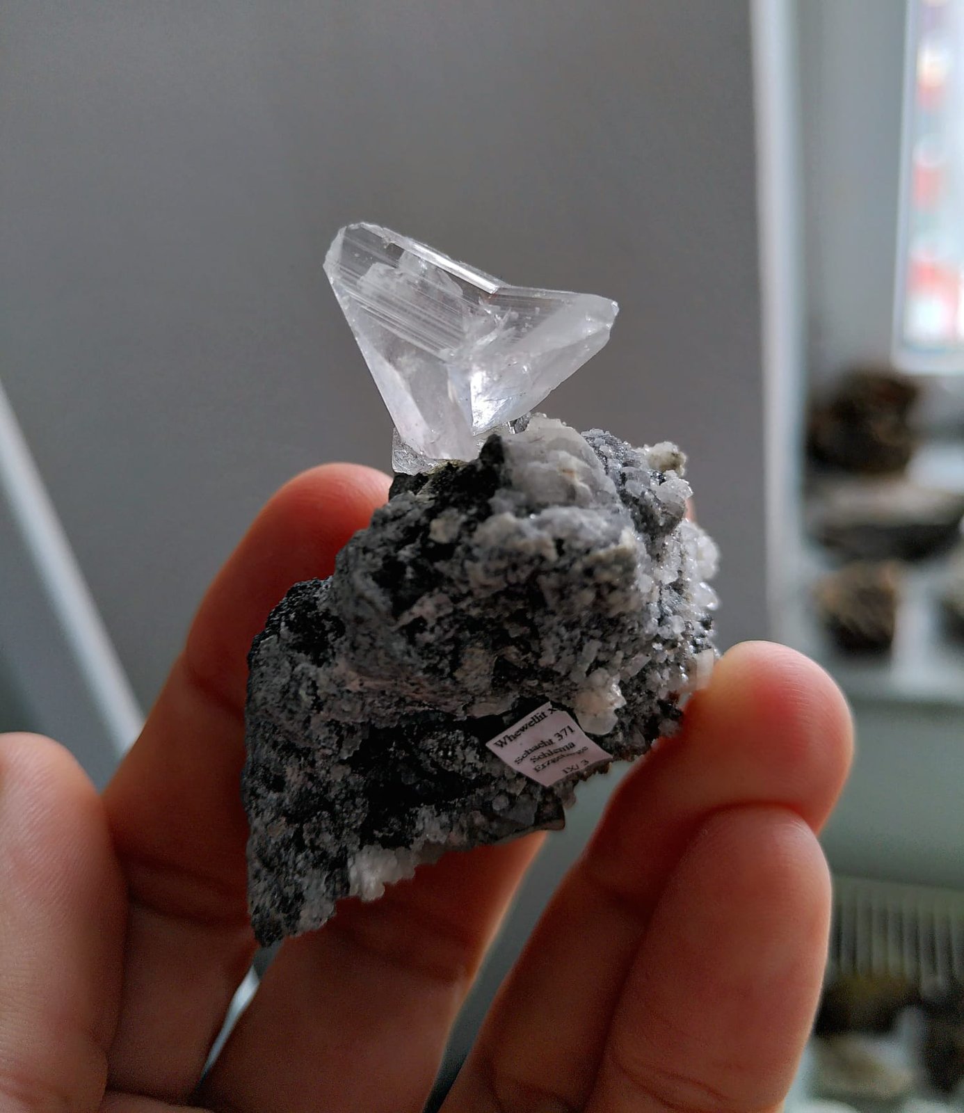 Whewellite
Specimen size 5,5 cm, crystal 2,5 cm
(Autor: Tobi)