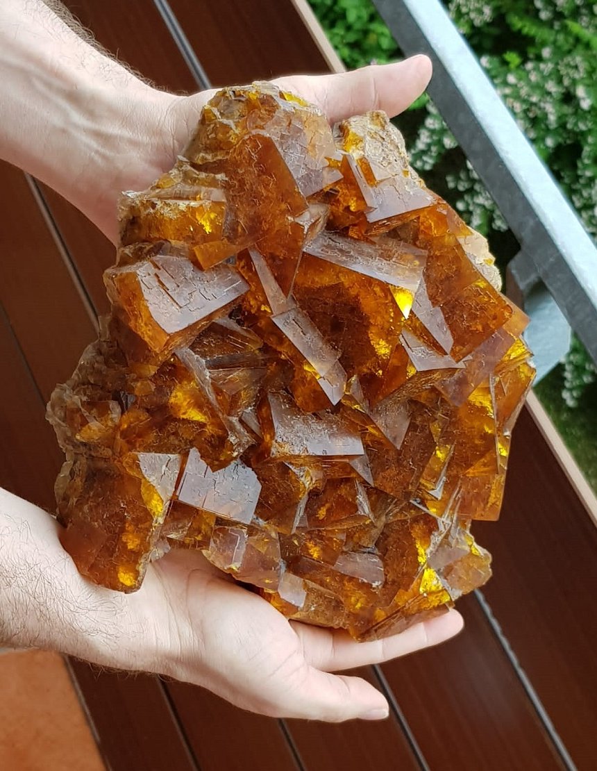 Fluorite
Specimen size 25 x 21 cm, largest crystal 5 cm
(Autor: Tobi)