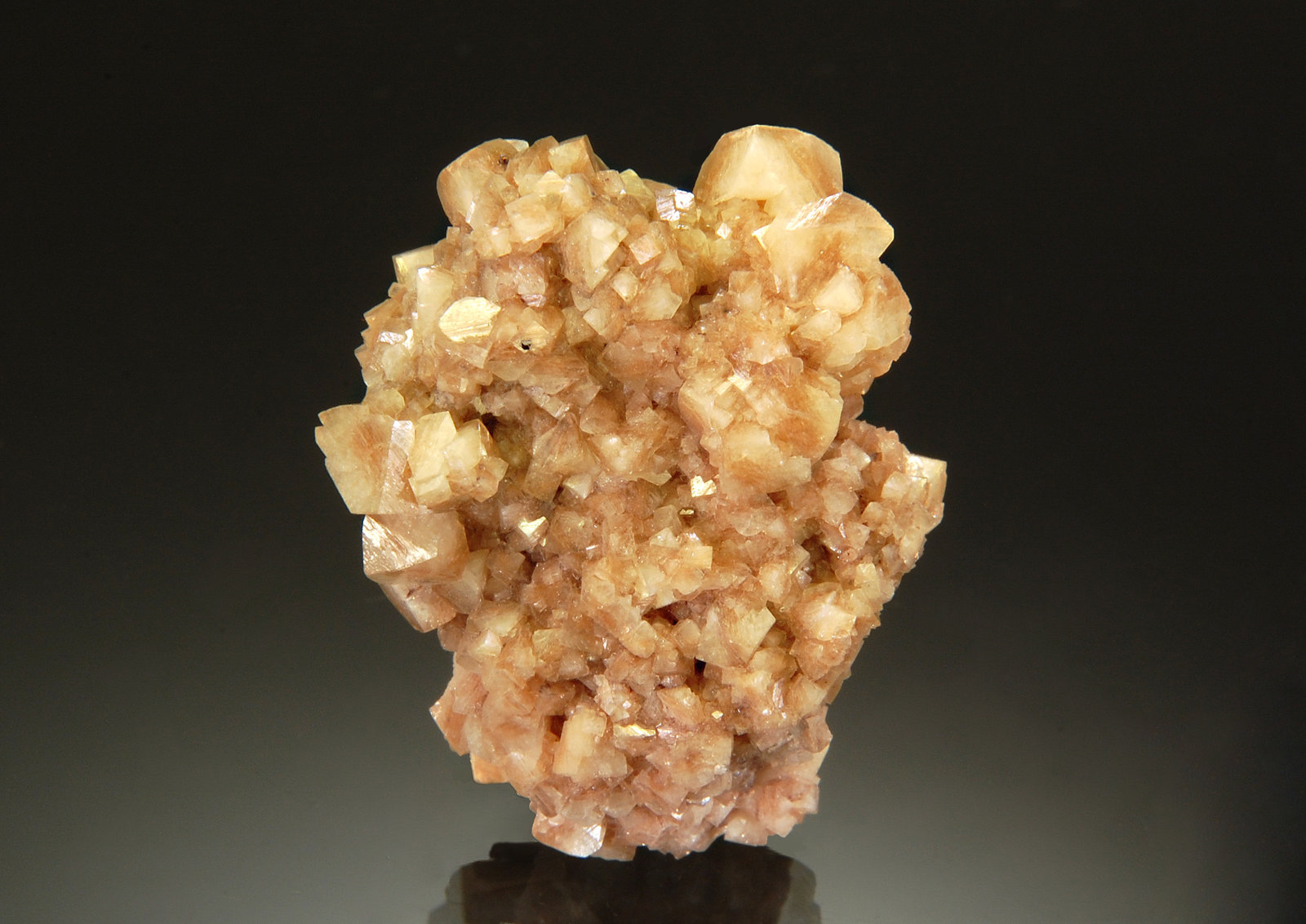 Woodhouseite
2.5 x 3.2 cm
(Autor: Michael Shaw)