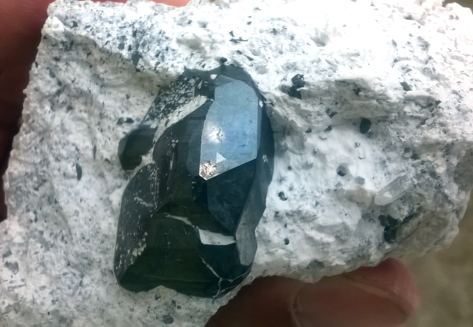 Chalcocite-covered pyrite
Crystal 2.5 cm
(Autor: Cesar M. Salvan)