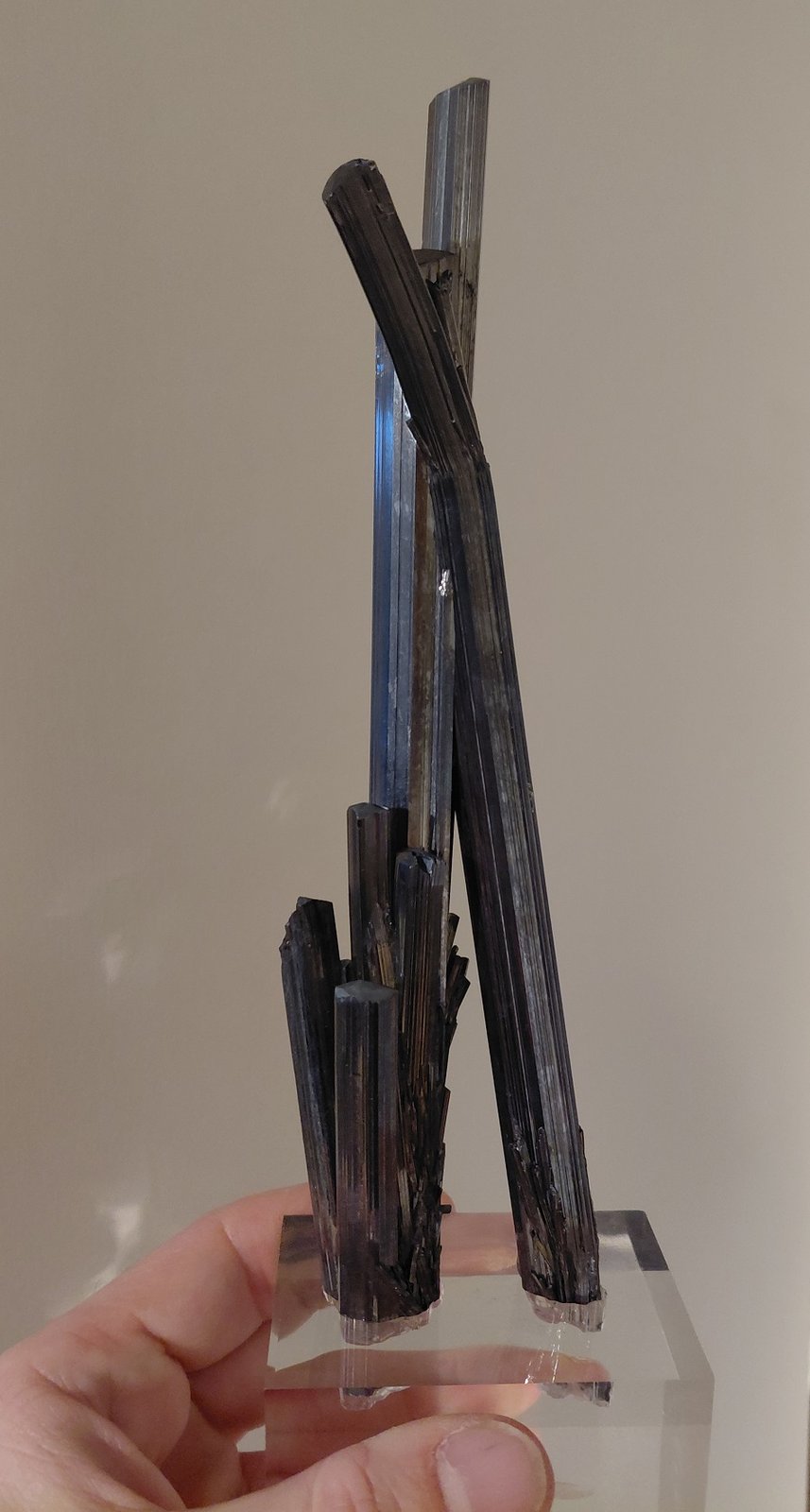 Stibnite
Specimen height 21,5 cm
(Autor: Tobi)