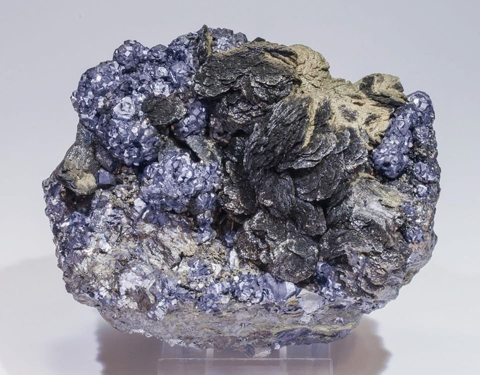 Wurtzite with Galena
Specimen size: 9 × 8.3 × 5.2 cm /  main crystal size: 2.6 × 1.7 cm
(Autor: Jordi Fabre)