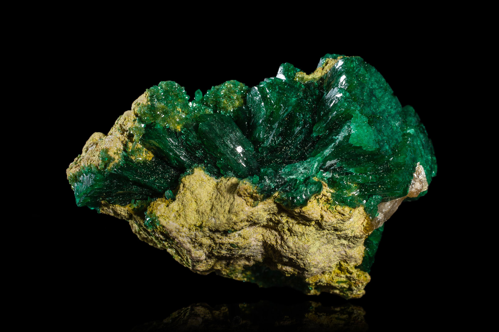 Zincolivenite on Ferrilotharmeyerite
4.5 x 2 x 3 cm / main crystal: 2 cm
(Autor: MIM Museum)