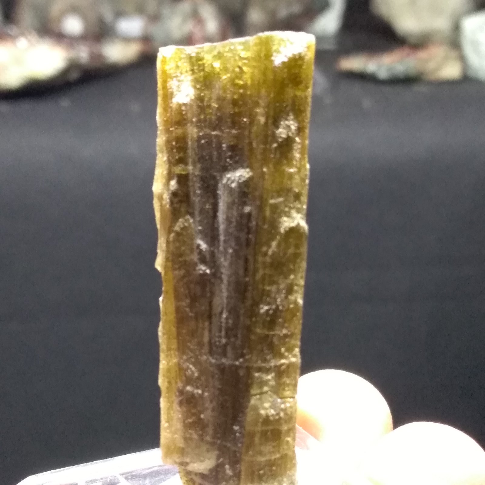 Zoisite
58 mm x 14 mm
(Autor: Sante Celiberti)