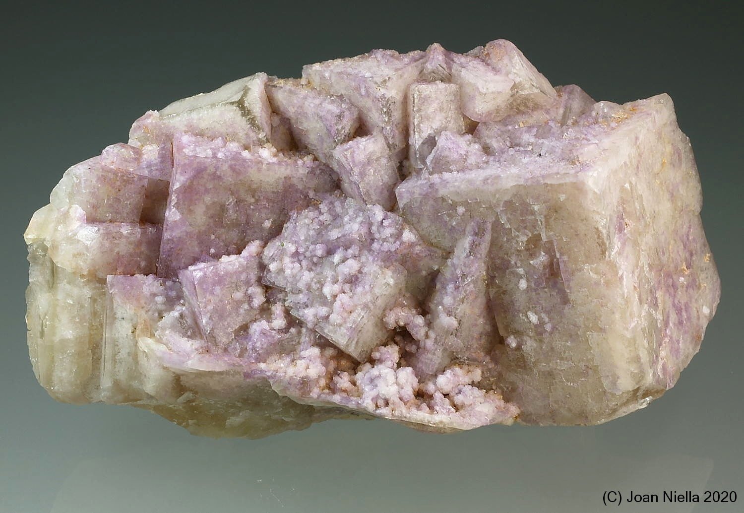 Fluorita
12 x 7 cm
(Autor: Joan Niella)