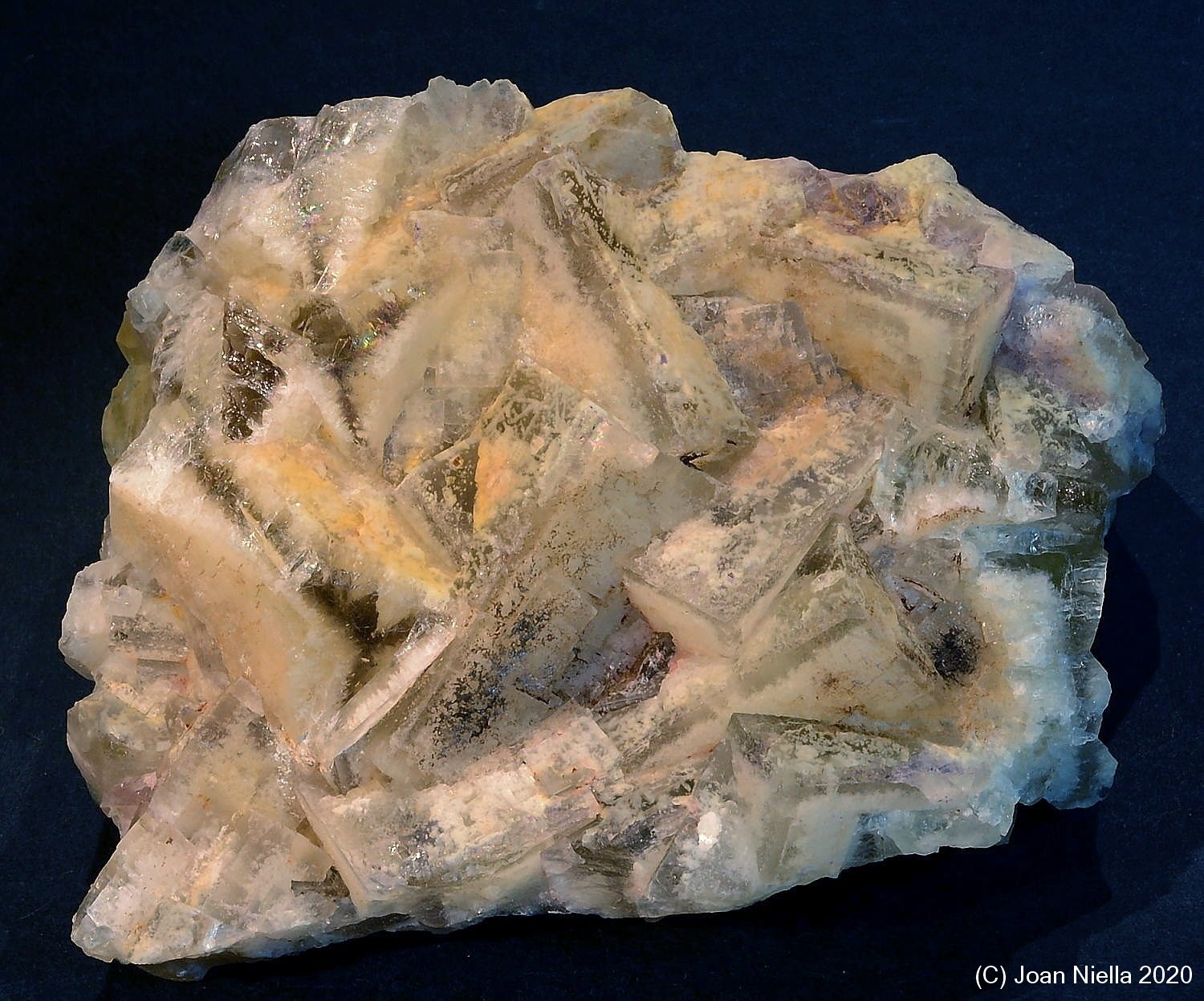 Fluorita
70 x 55 mm
(Autor: Joan Niella)