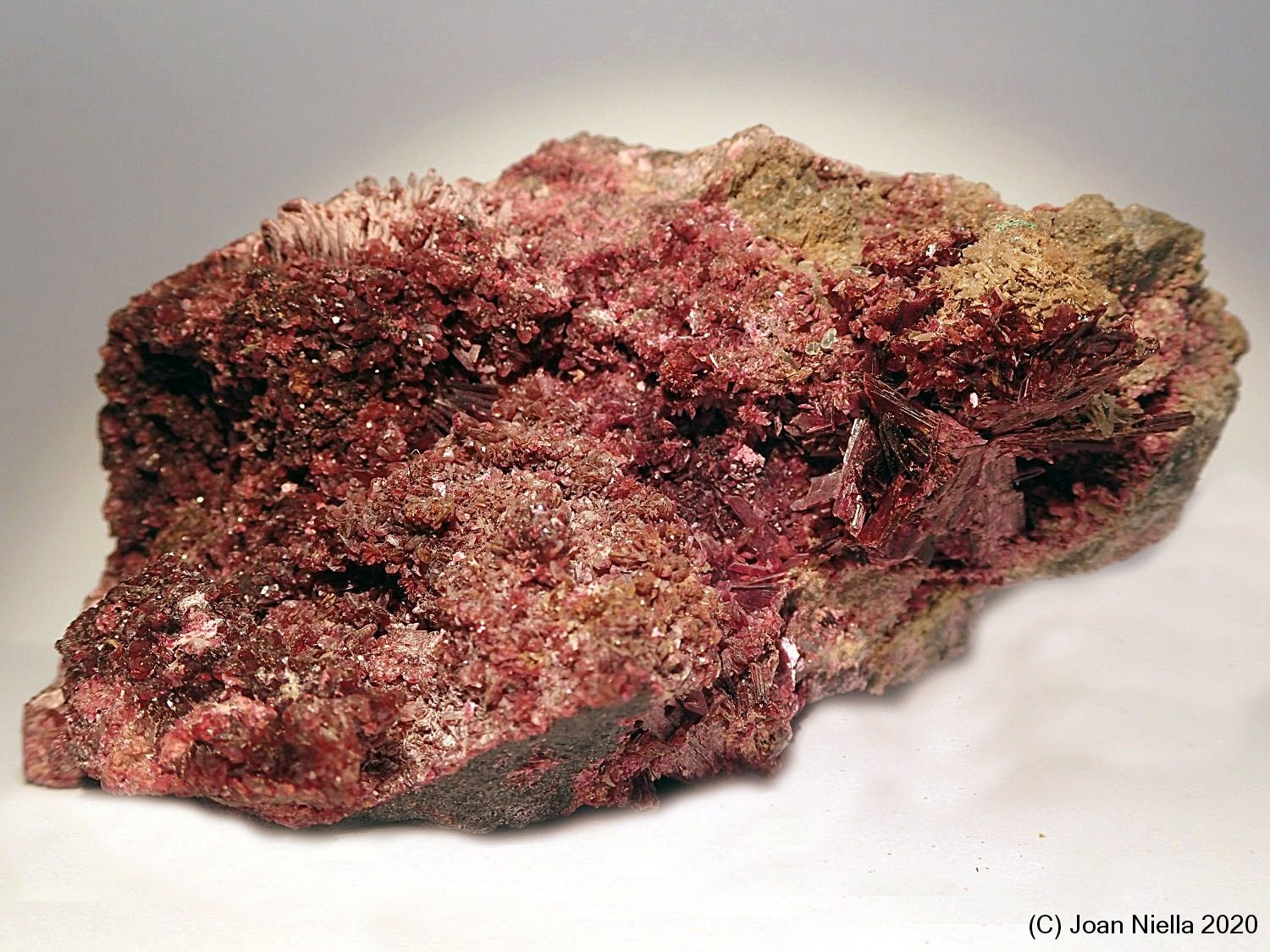 Eritrita (Eritrina)
10 x 6 cm
(Autor: Joan Niella)
