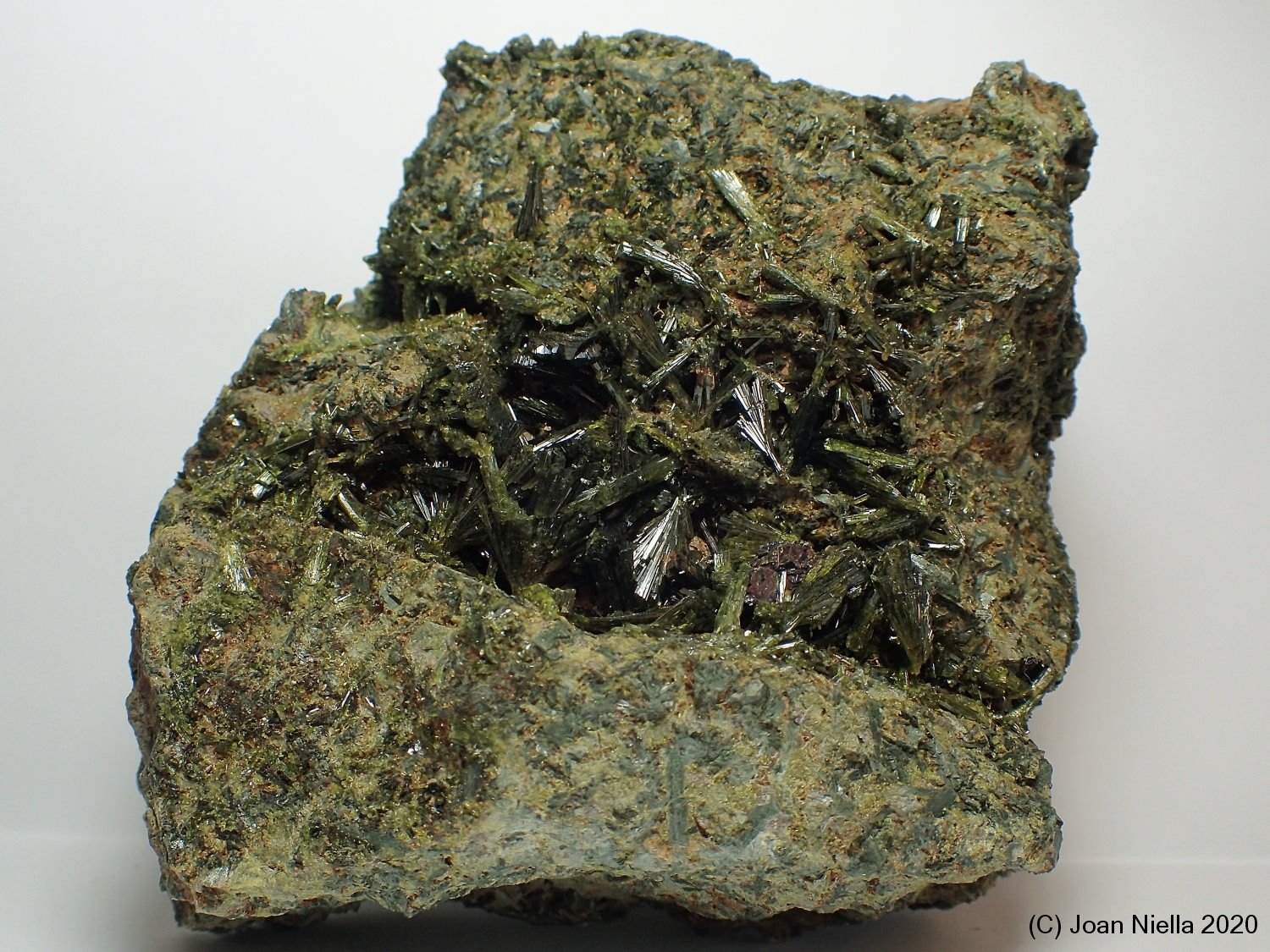 Epidota
10 x 9 cm
(Autor: Joan Niella)