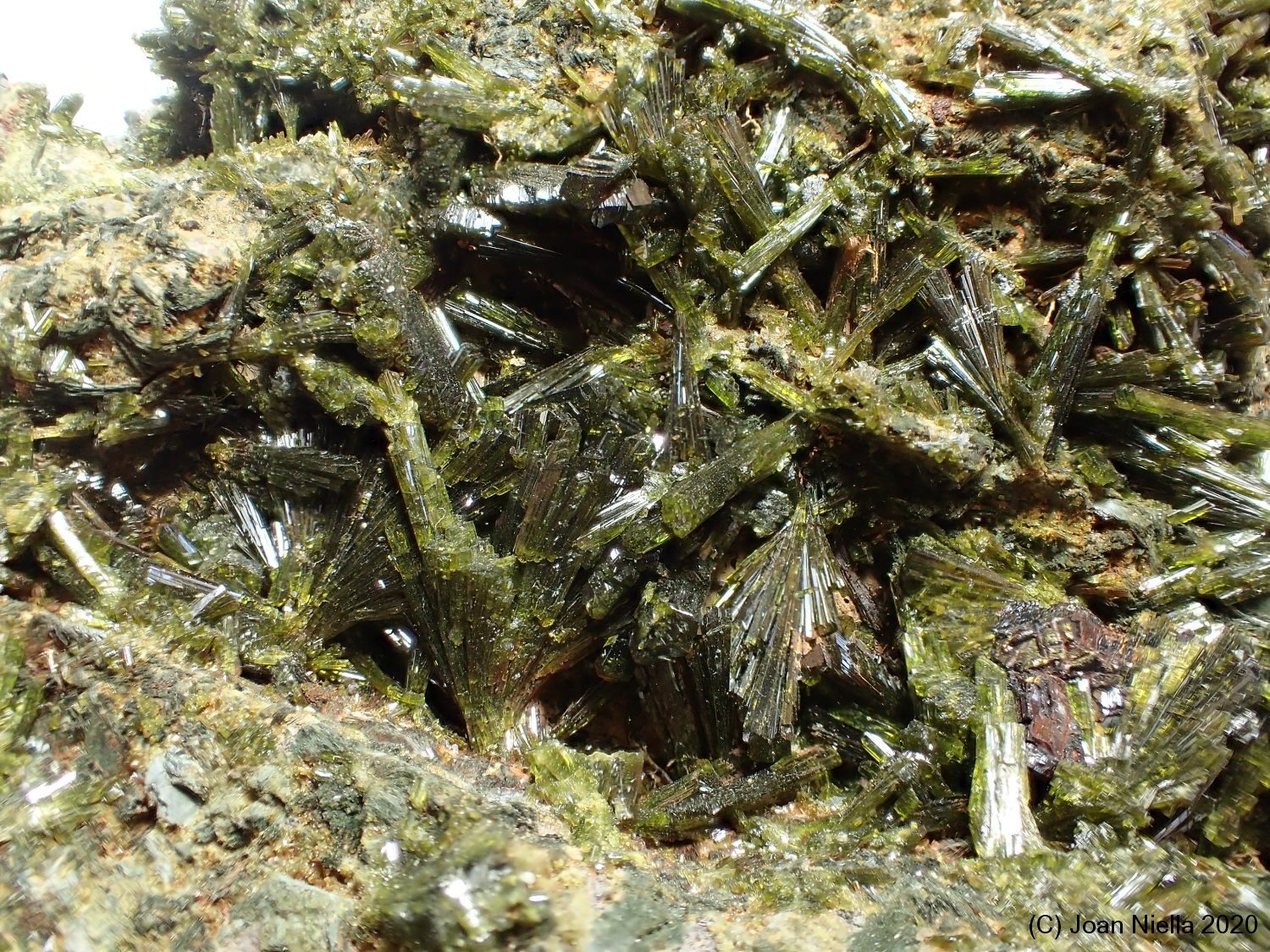 Epidota
6 x 4 cm
(Autor: Joan Niella)