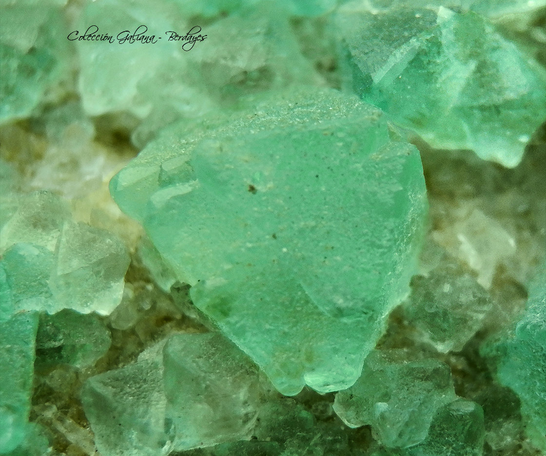 Fluorita
Encuadre 12 x 12 mm
(Autor: Rafael Galiana)