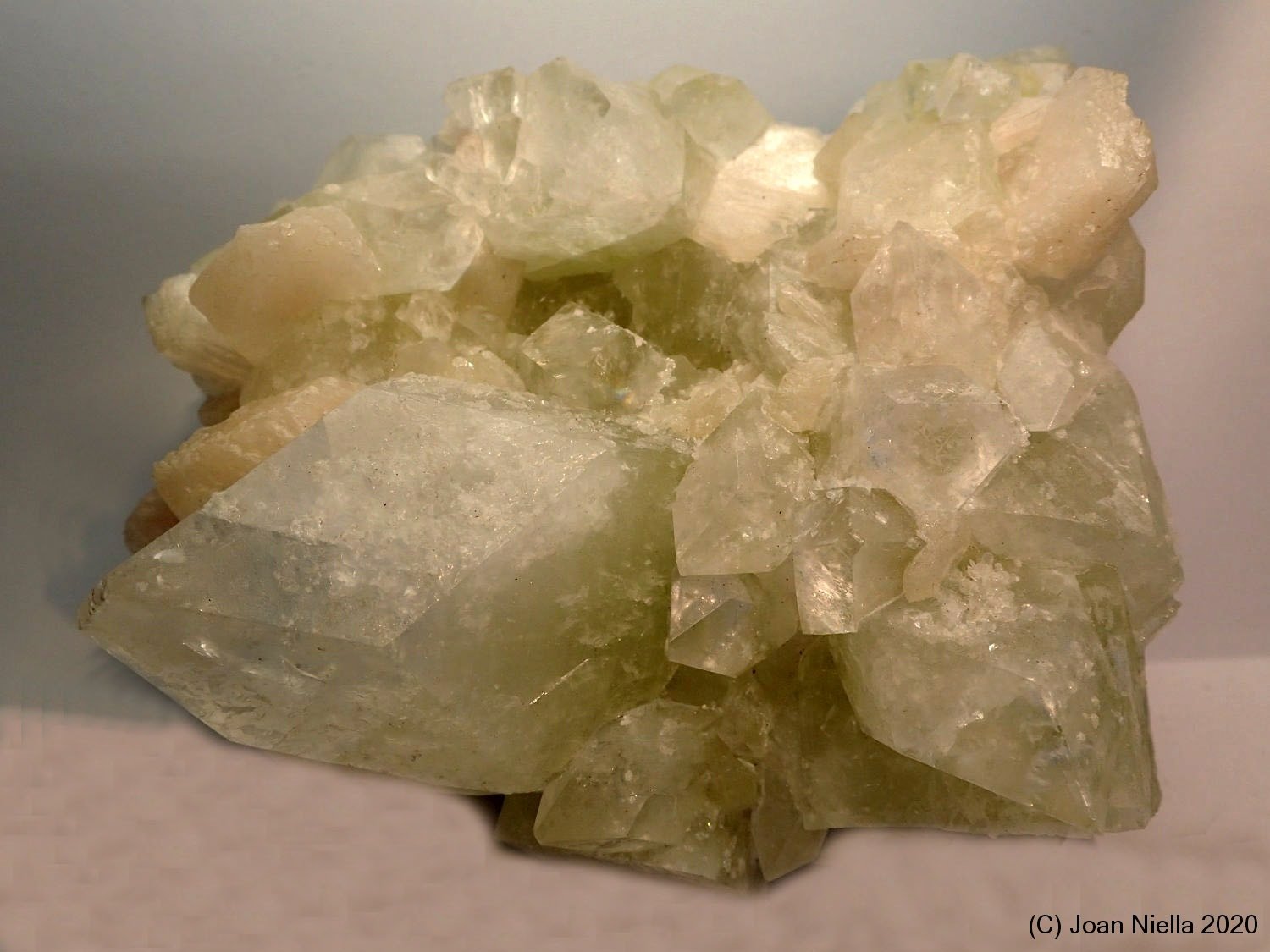 Fluorapophyllita-(K) (Apofilita)
9 x 9 cm
(Autor: Joan Niella)