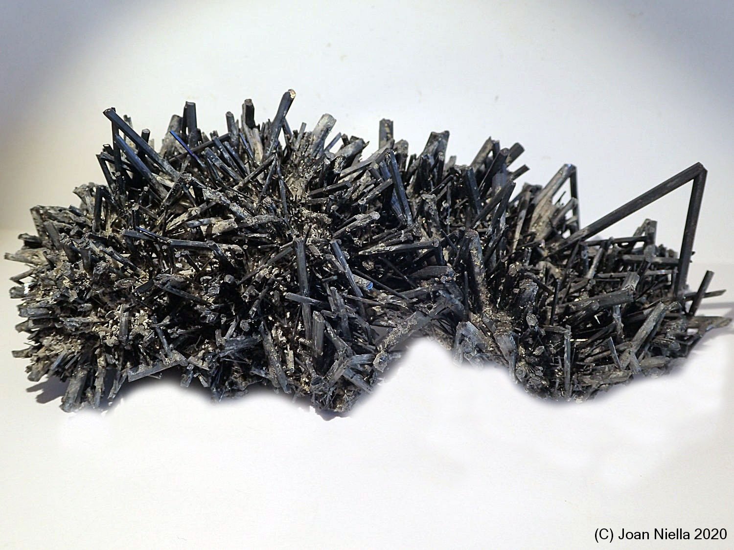 Stibnita (Estibina)
15 x 5 cm
(Autor: Joan Niella)