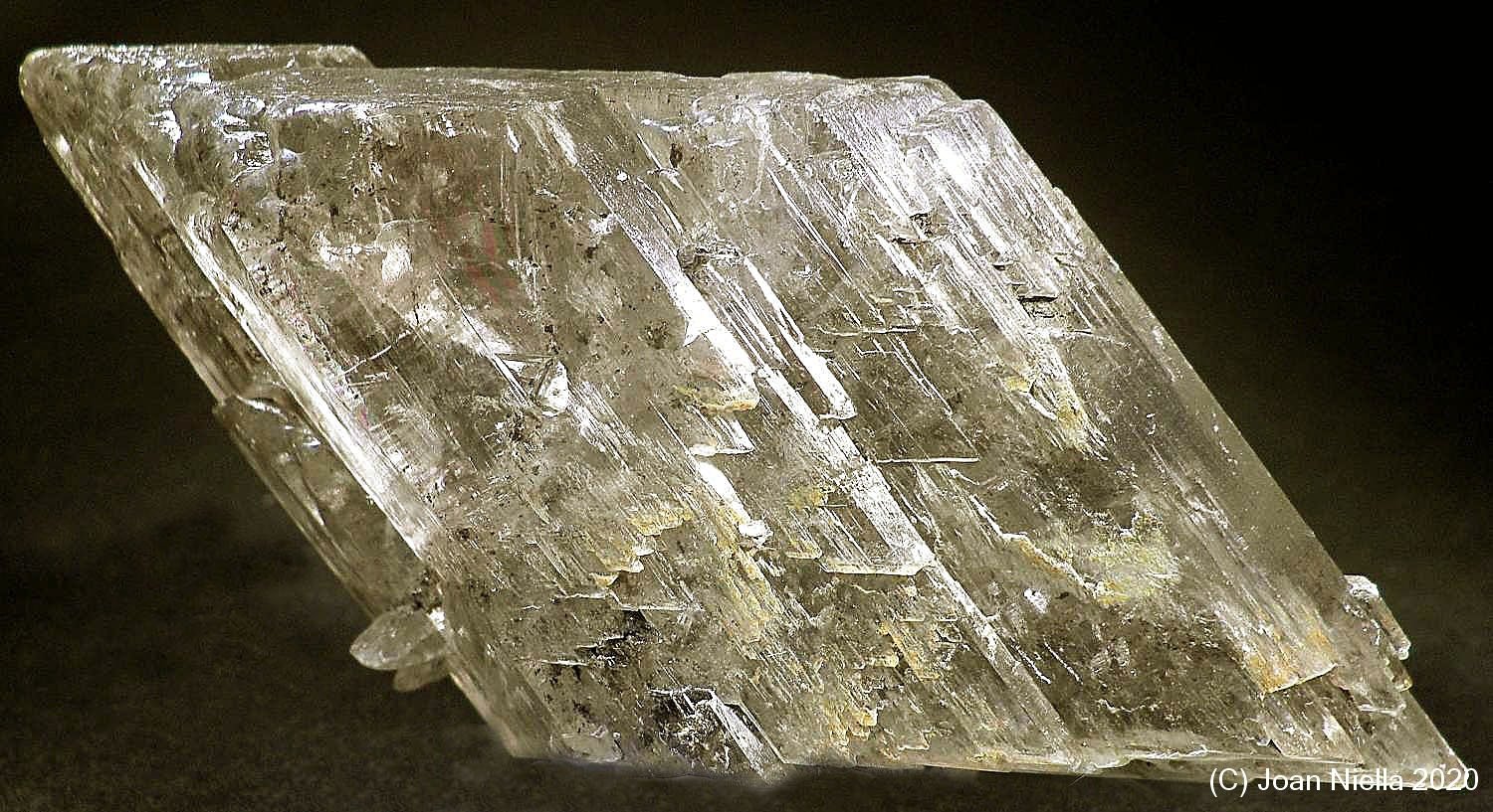 Yeso
80 x 45 mm
(Autor: Joan Niella)