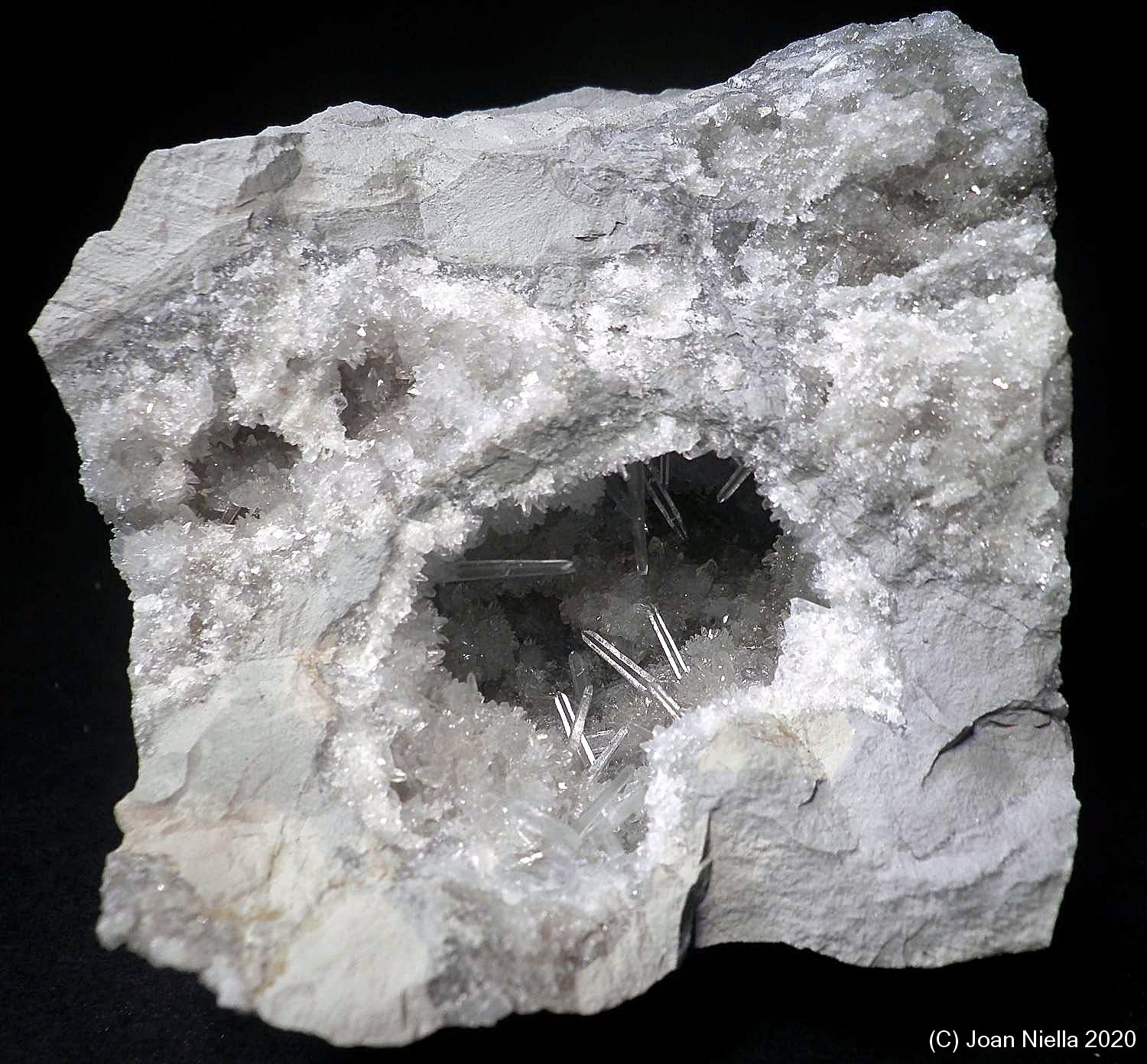 Celestina
6 x 6 cm
(Autor: Joan Niella)