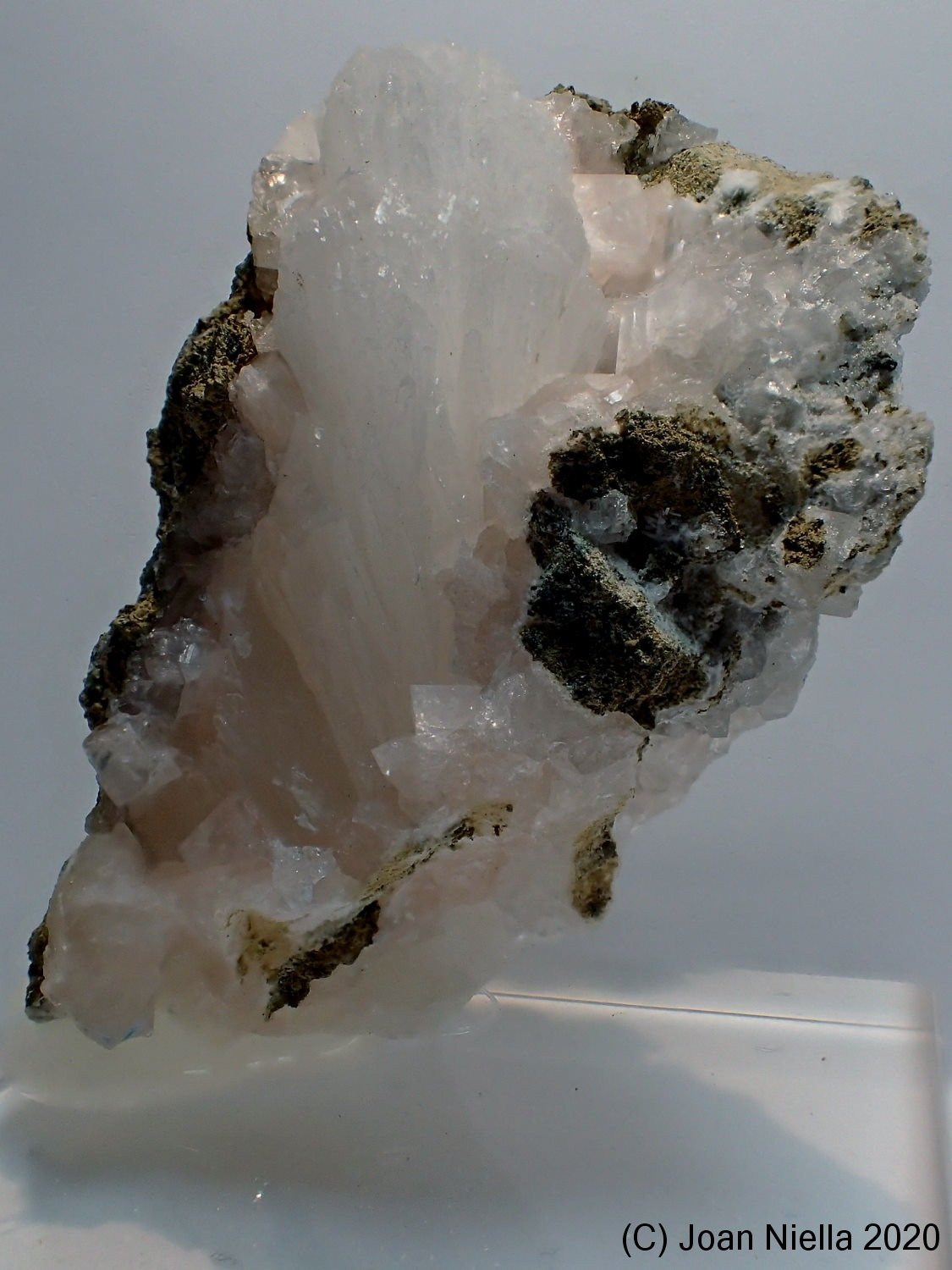 Stilbita-Ca (Estilbita-Ca)
40 x 25 mm
(Autor: Joan Niella)