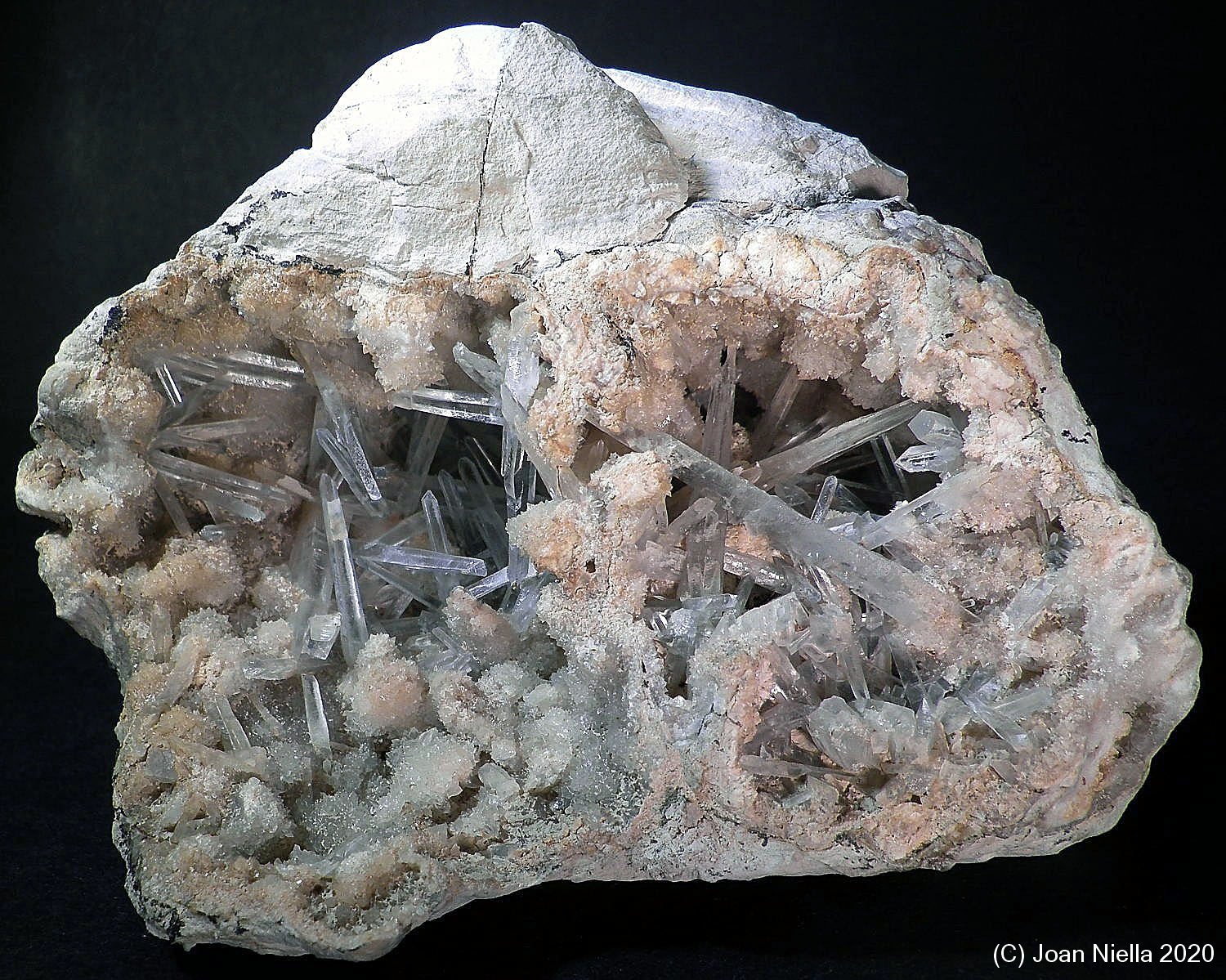 Celestina
9 x 7 cm
(Autor: Joan Niella)