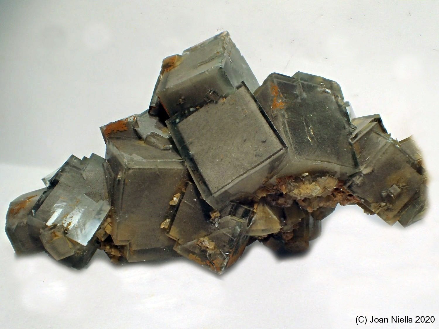 Fluorita
6 x 3 cm
(Autor: Joan Niella)