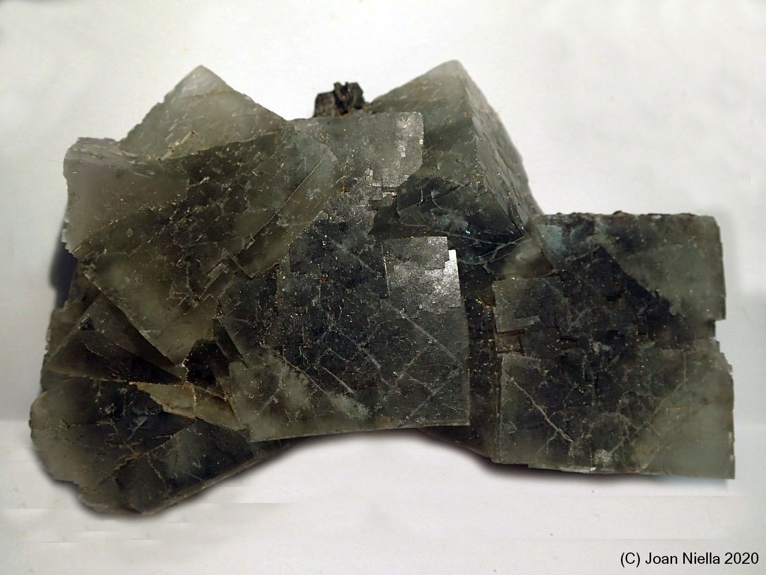 Fluorita
0 x 5 cm
(Autor: Joan Niella)
