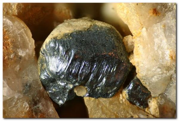 Acantita.
Cristal de 3 mm
(Autor: Rafa Muñoz(mineralvarado))