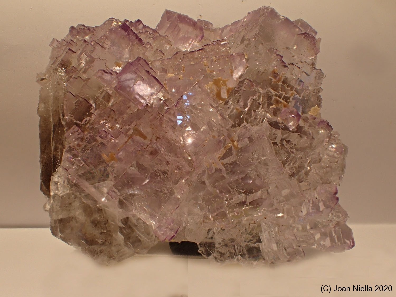 Fluorita
5 x 5 cm
(Autor: Joan Niella)