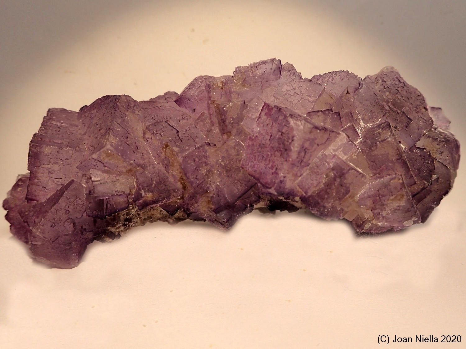 Fluorita
10 x 4 cm
(Autor: Joan Niella)