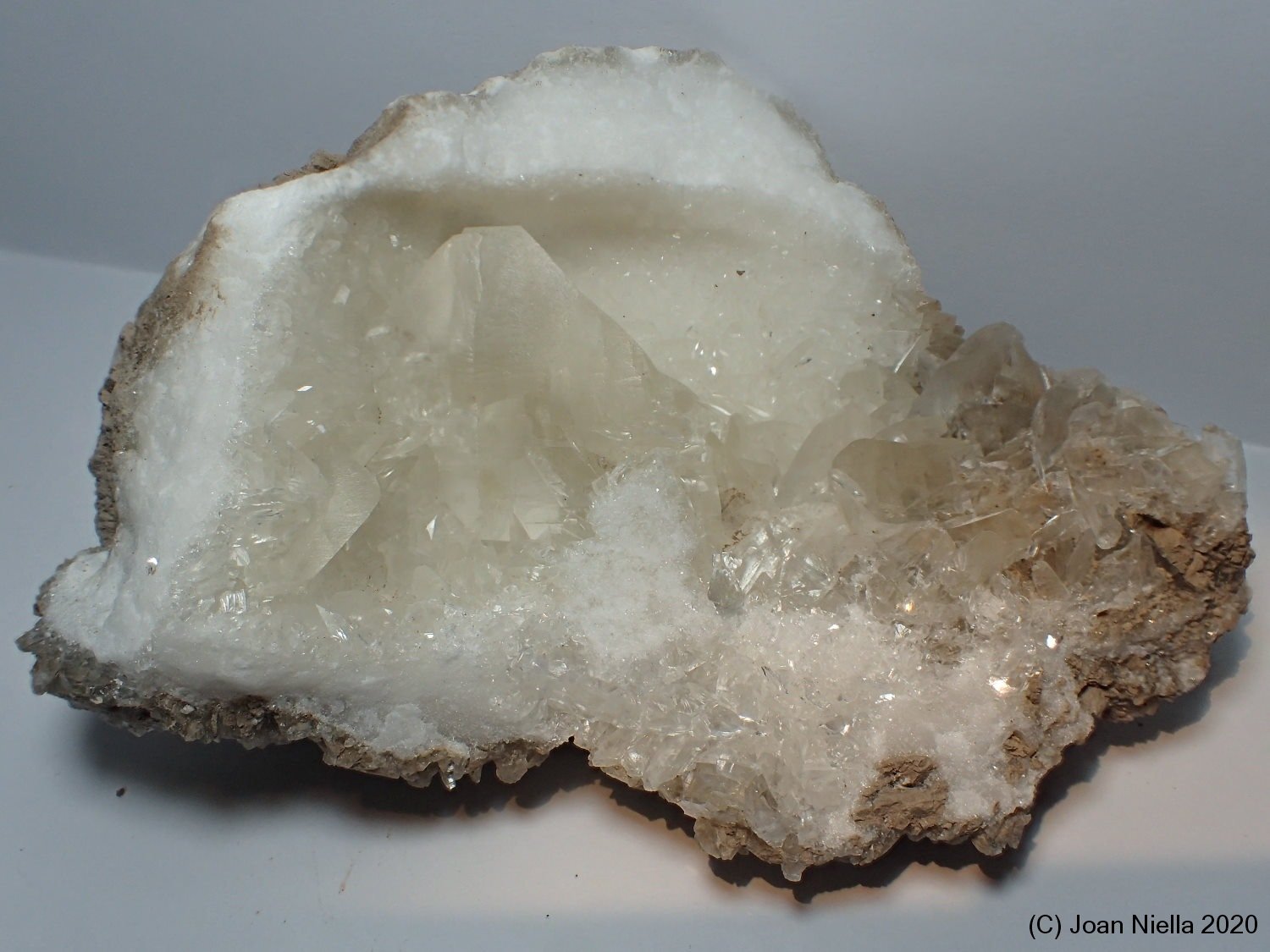 Yeso
11 x 8 cm
(Autor: Joan Niella)