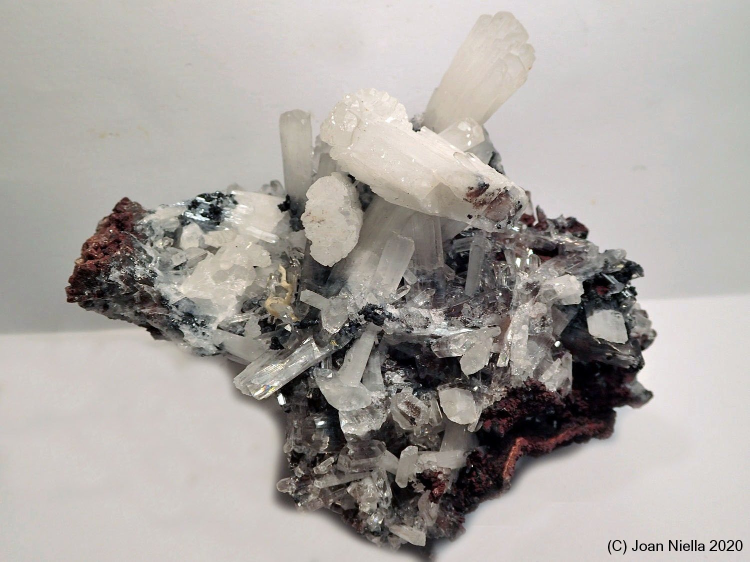 Hemimorfita
9 x 7 cm
(Autor: Joan Niella)