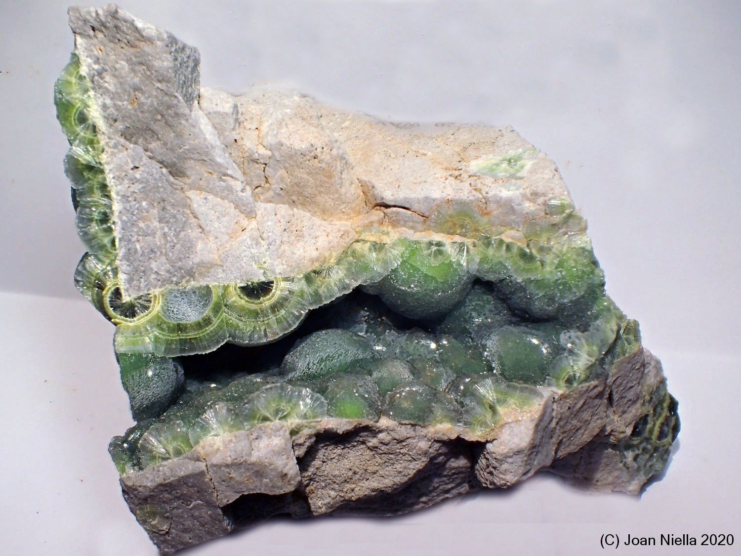 Wavellita
10 x 5 cm
(Autor: Joan Niella)