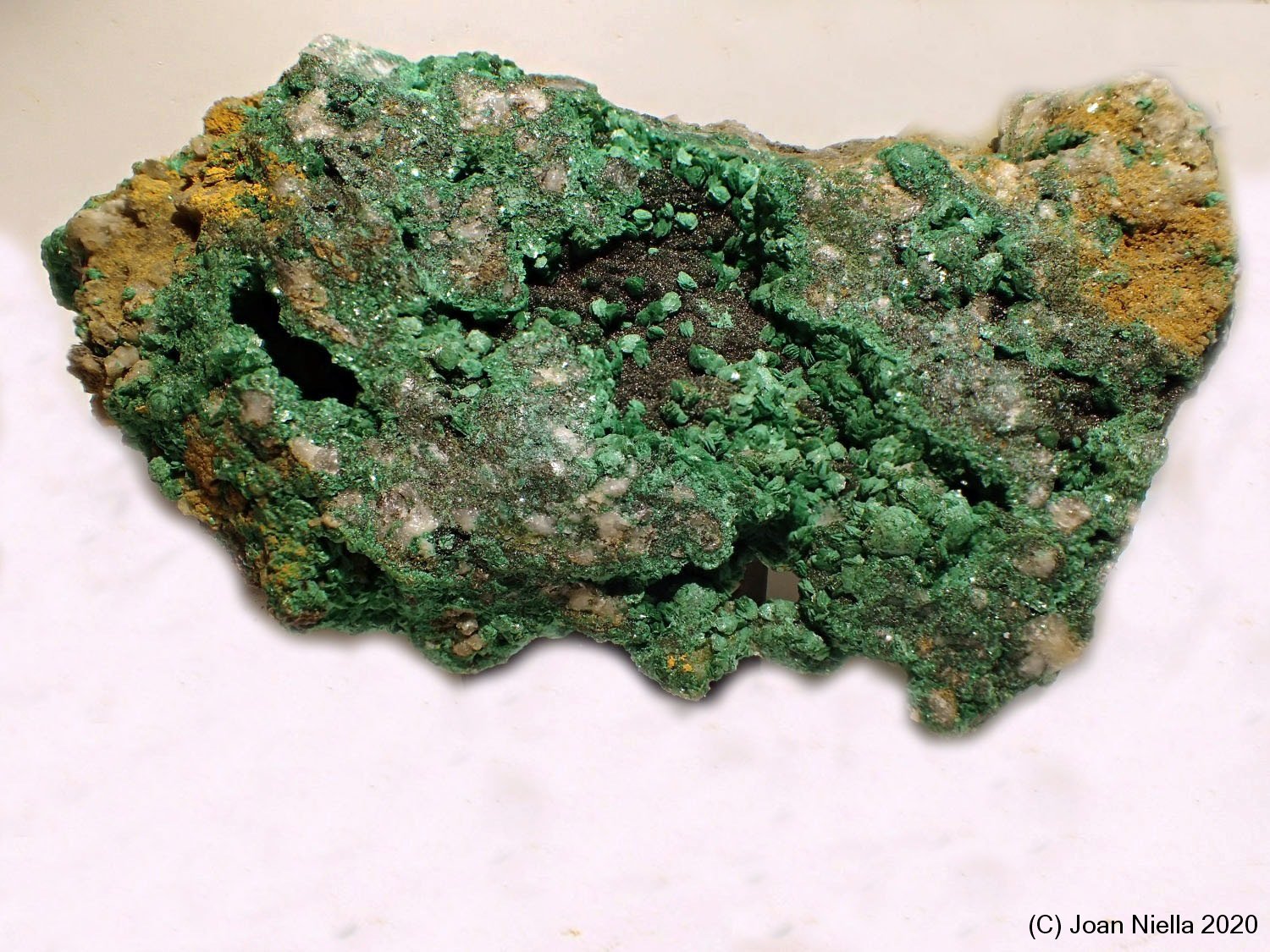 Pseudomalaquita
70 x 65 mm
(Autor: Joan Niella)