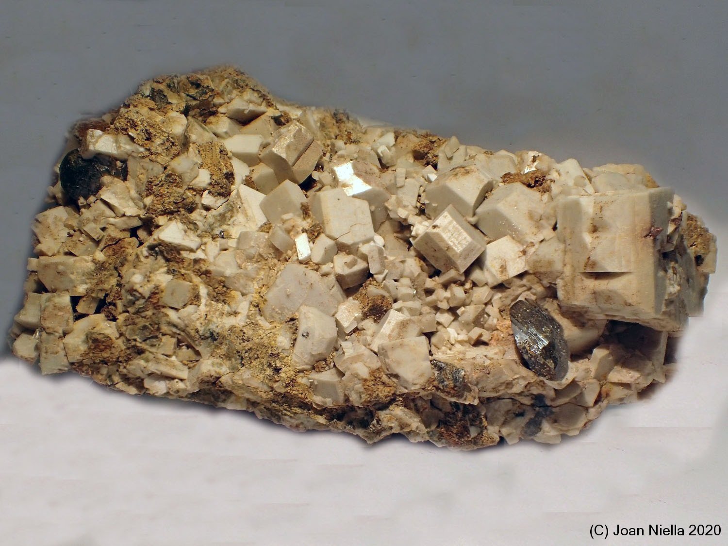 Ortoclasa
65 x 50 mm
(Autor: Joan Niella)