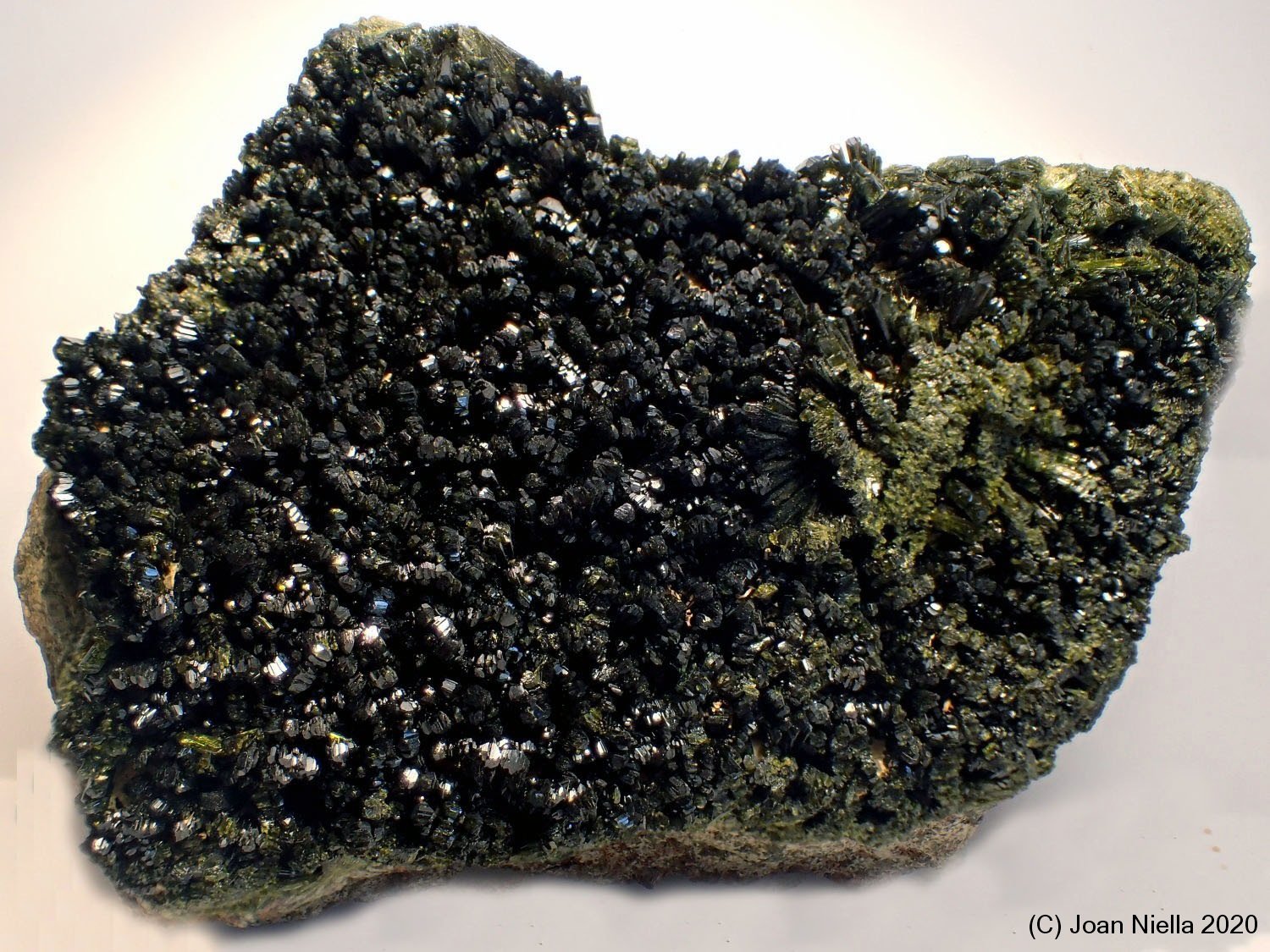 Epidota
11 x 7 cm
(Autor: Joan Niella)