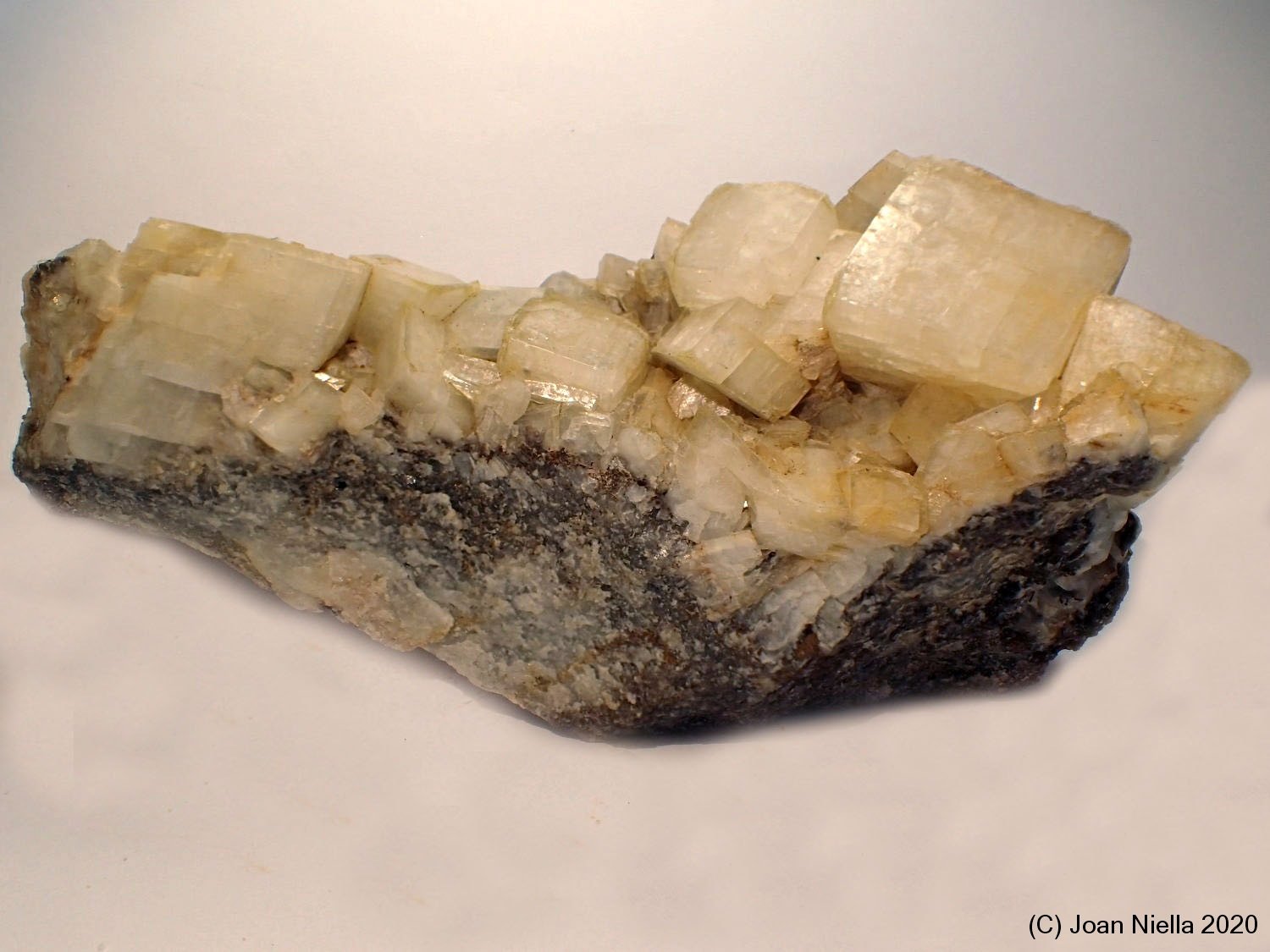 Dolomita
12 x 4 cm
(Autor: Joan Niella)