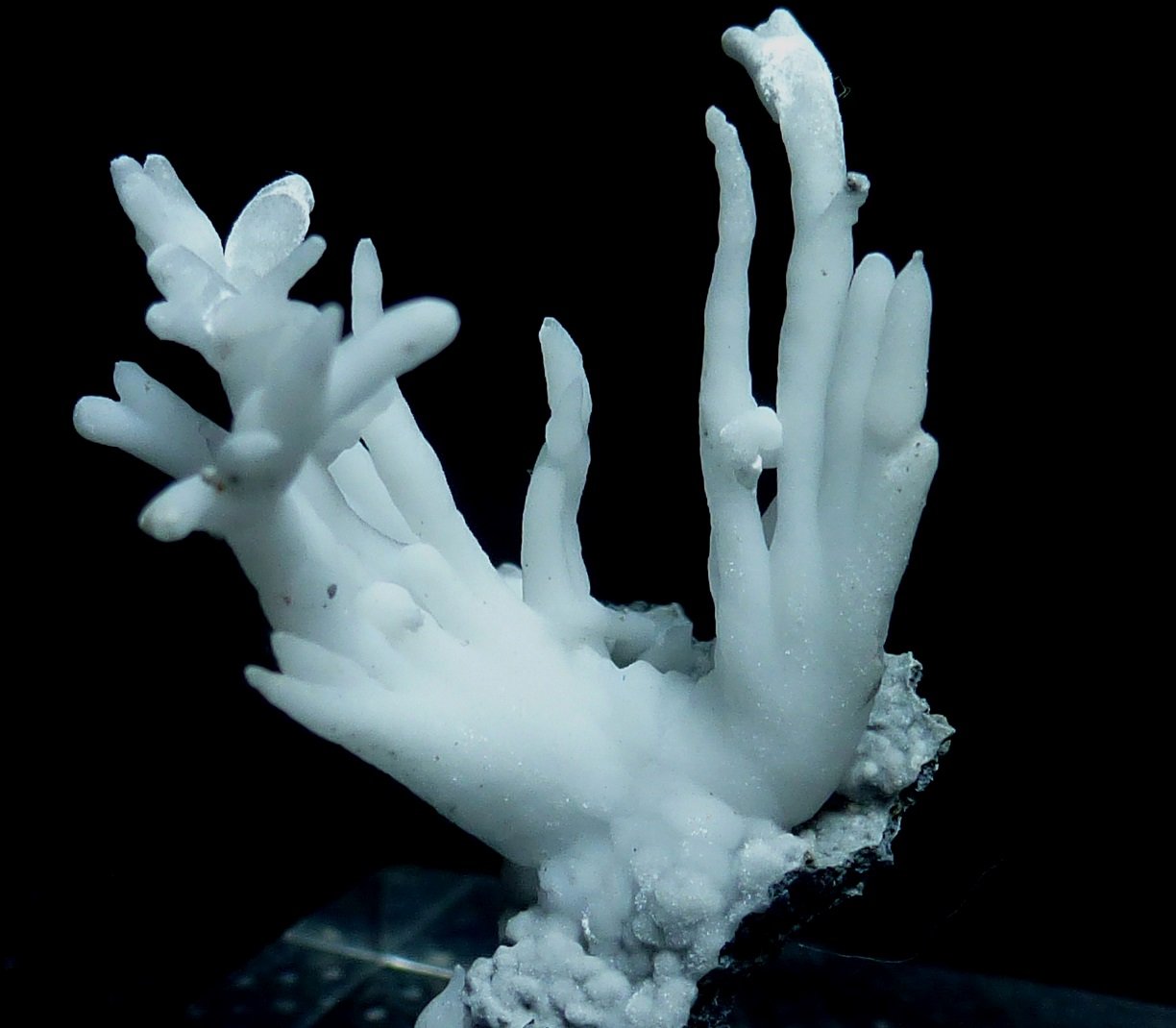 Aragonito
3 x 3 cm.
(Autor: javier ruiz martin)