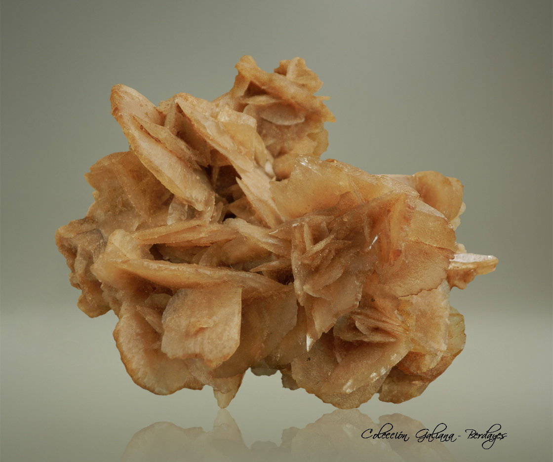 Yeso (variedad rosa del desierto)
91 x 69 x 48 mm.
(Autor: Rafael Galiana)