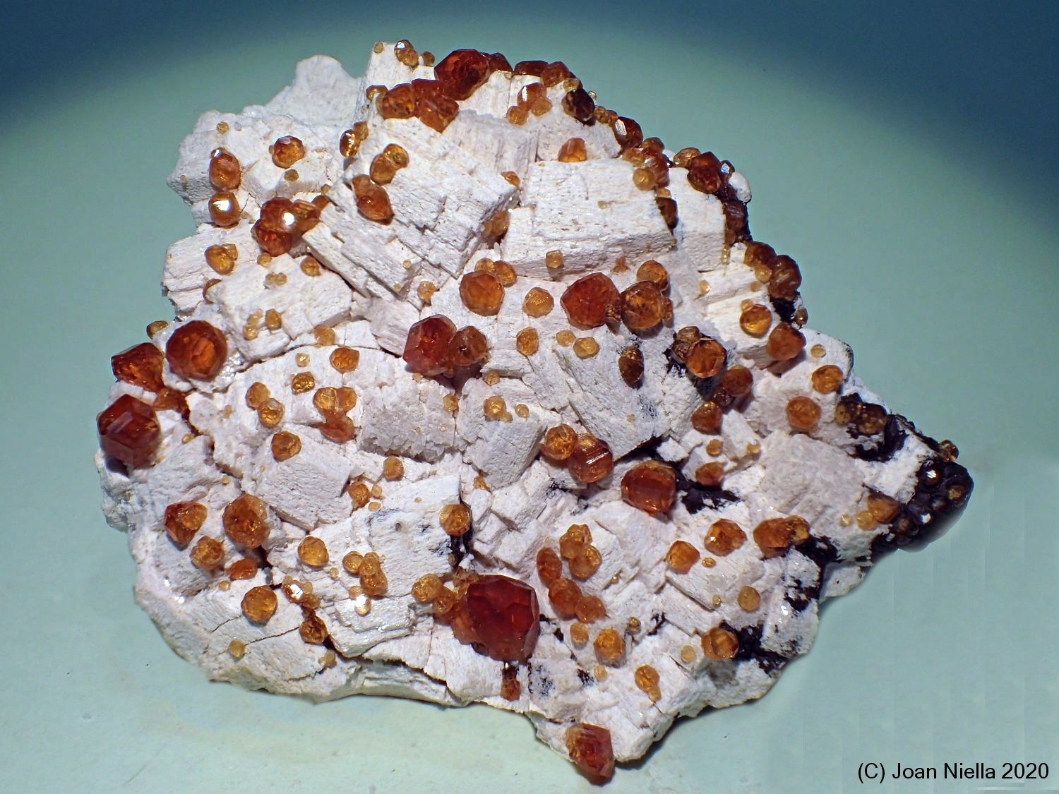 Spessartina (Espesartina) (Grupo Granate)
6x5 cm
(Autor: Joan Niella)