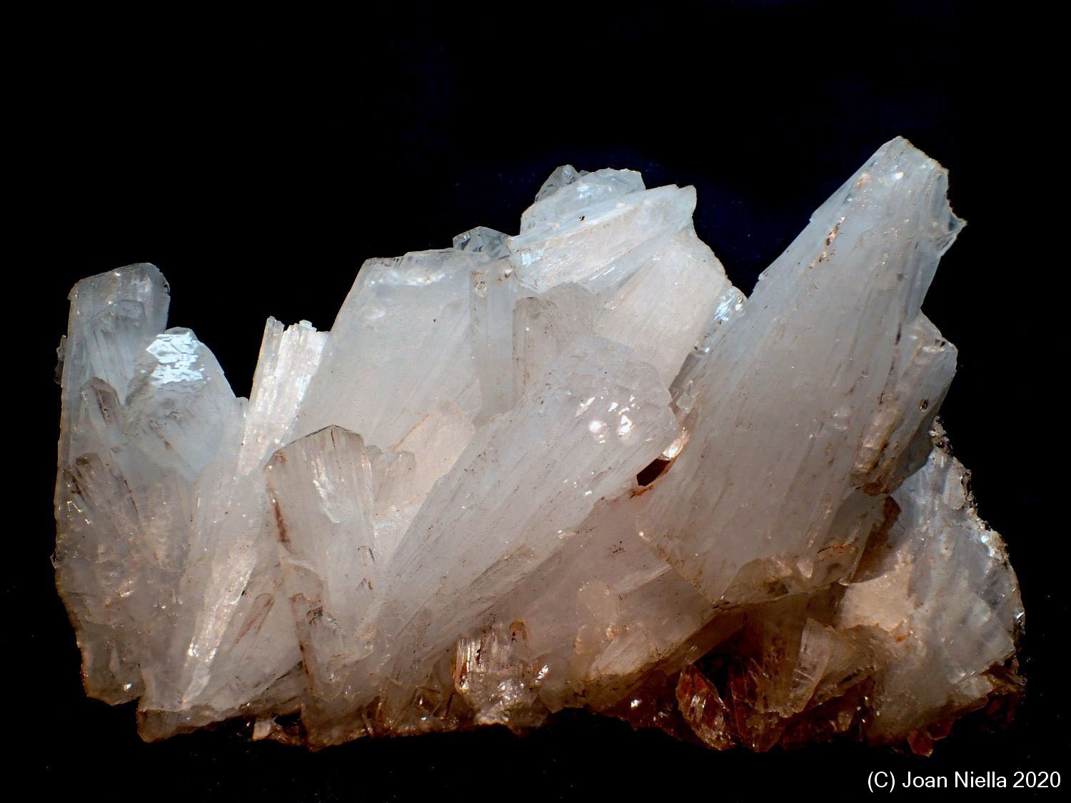 Hemimorfita
65 x 40 mm
(Autor: Joan Niella)