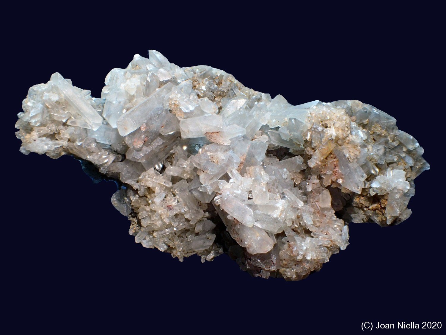 Celestina
8 x 4 cm
(Autor: Joan Niella)