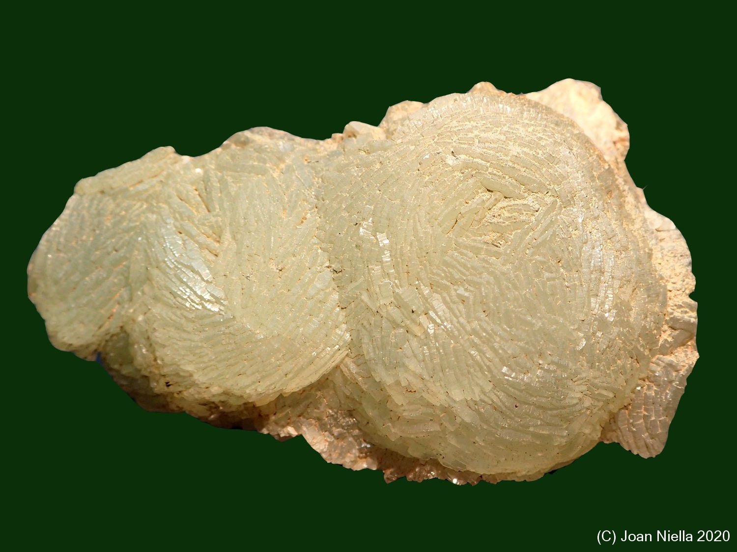 Prehnita
55 x 40 mm
(Autor: Joan Niella)