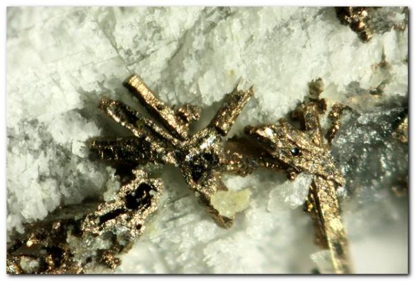 Breithauptita
Ancho 2 mm
(Autor: Rafa Muñoz(mineralvarado))