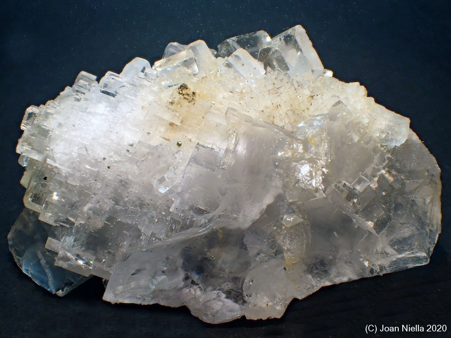 Fluorita
8 x 5 cm
(Autor: Joan Niella)