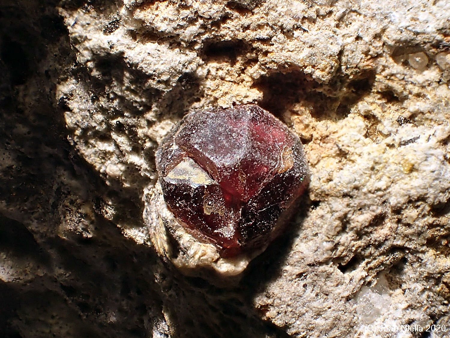 Almandino (Grupo Granate)
CV  2 x 1 cm
(Autor: Joan Niella)