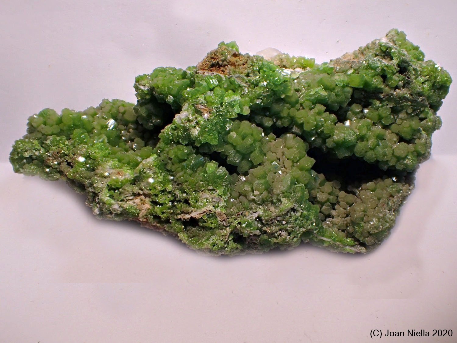 Piromorfita
9 x 5 cm
(Autor: Joan Niella)