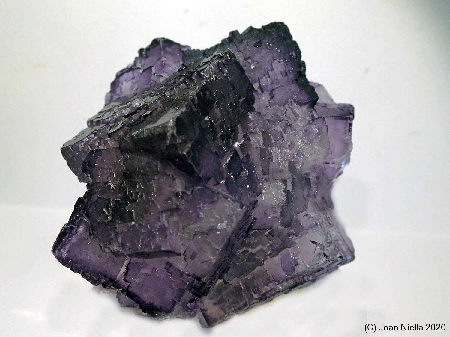 Fluorita
6 x 6
(Autor: Joan Niella)