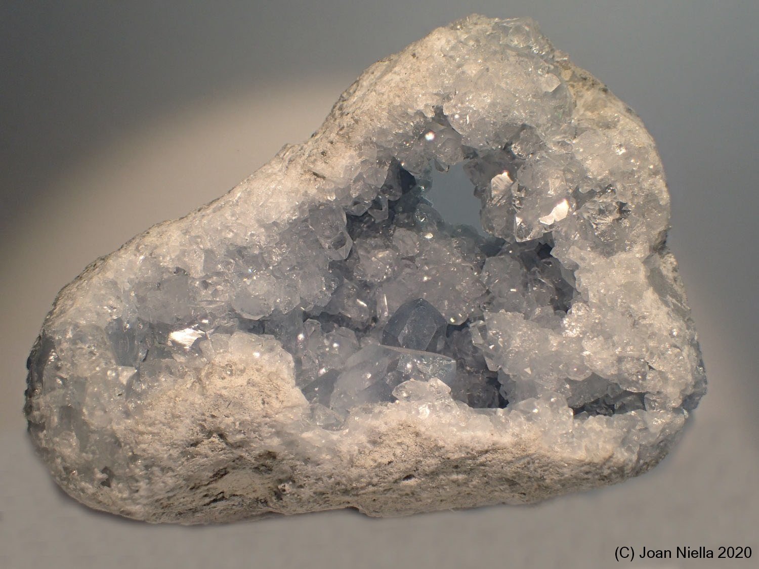 Celestina
9 x 6 cm
(Autor: Joan Niella)