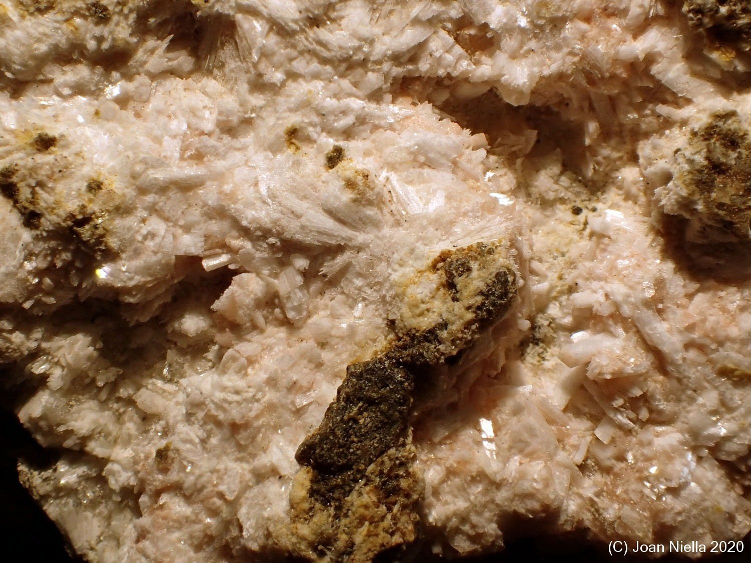 Laumontita
CV 2 x 1 cm
(Autor: Joan Niella)