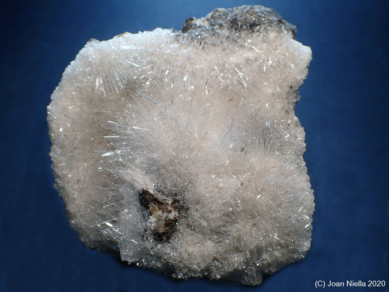 Yeso
7 x 6 cm
(Autor: Joan Niella)