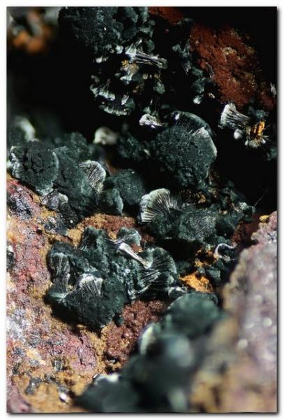 Natrodufrenita
Ancho 3 mm
(Autor: Rafa Muñoz(mineralvarado))