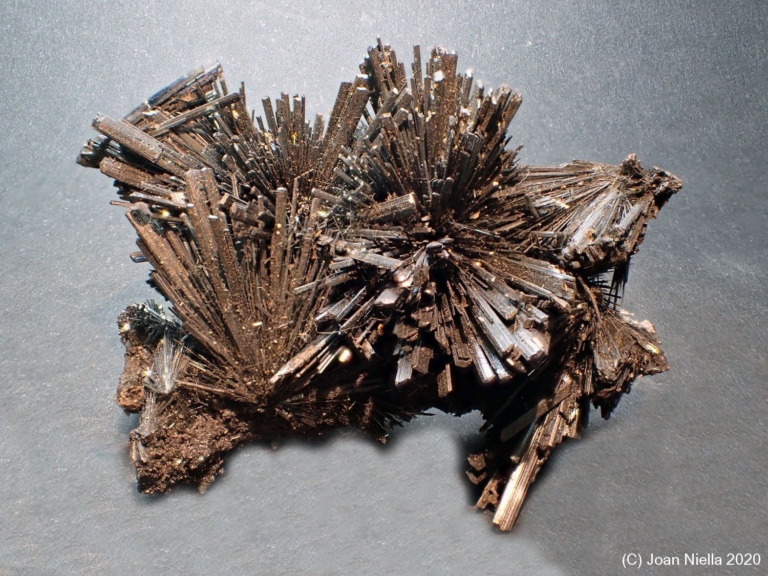 Stibnita (Estibina)
5 x 4 cm
(Autor: Joan Niella)