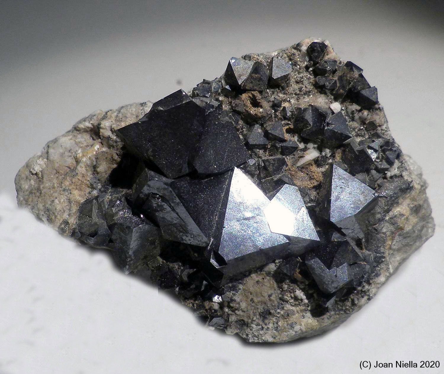 Magnetita
6 x 4 cm
(Autor: Joan Niella)